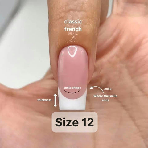 Professional FlexOne French Brush - Size 12