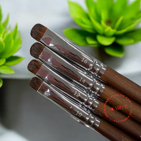 Professional FlexOne French Brush - Size 10 12 14 16